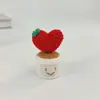 Nuevas Plantas en Maceta de Lana Pura Tejidas a Crochet Lindas Creativas Amor Pareja En Stock