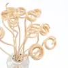 Difusor de Aromaterapia de Rattan Natural Formato de Palito de Rattan Anel de Bambu de Perfume Anel de Madeira Acessórios Voláteis Especiais Atacado