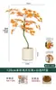 Plantas Verdes de Bordo Árvore Falsa de Bordo Vermelho Plantas em Vasos de Luxo Leve Decoração de Paisagismo para Sala de Estar de Casa Exibição de Janela Planta de Chão
