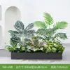 [Serie Y80] Decoración de Partición de Planta Verde Simulada Macetero Maceta Valla Paisajística de Plástico Biónico Diseño