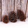 8-15cm Natural Flor Seca Grande Piña Adornos de Piña Decoraciones para Árbol de Navidad Piña de Madera Colgante DIY