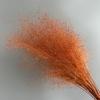 Rosa flor eterna flor seca caos grama decoração de casa decoração de casamento net vermelho cor dos sonhos mosquito grama atacado