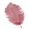 Direto da fábrica 20-25cm pena de avestruz performance de palco Pena branca casamento DIY decoração pena de avestruz atacado
