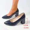 Sapatos da Moda Inverno 2025 Novo Salto Grosso Bico Fino Salto Alto Raso Vendas Diretas de Fábrica Comércio Exterior Transfronteiriço Sapatos Femininos