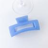 Clip Avanzado Sense Grasp Tamaño Grande Volumen de Cabello para Mujer Parte Posterior de la Cabeza Disco Cuadrado Esmerilado Clip para el Cabello ins Horquilla Lote para Niños