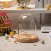 Luz de Noche de Gelatina de Concha de Erizo de Mar Natural Kit de Materiales Hechos a Mano para Bricolaje Adorno Decorativo Regalo para Niños y Novias