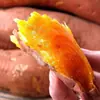 Yanshu 25 Camote, Camote con Miel, Camote Corazón de Azúcar, Camote Rojo Corazón que Suelta Jugo, Camote Fresco Cultivado en Granja, Camote Asado, Camote con Miel de Tierra Arenosa, Suministro Directo