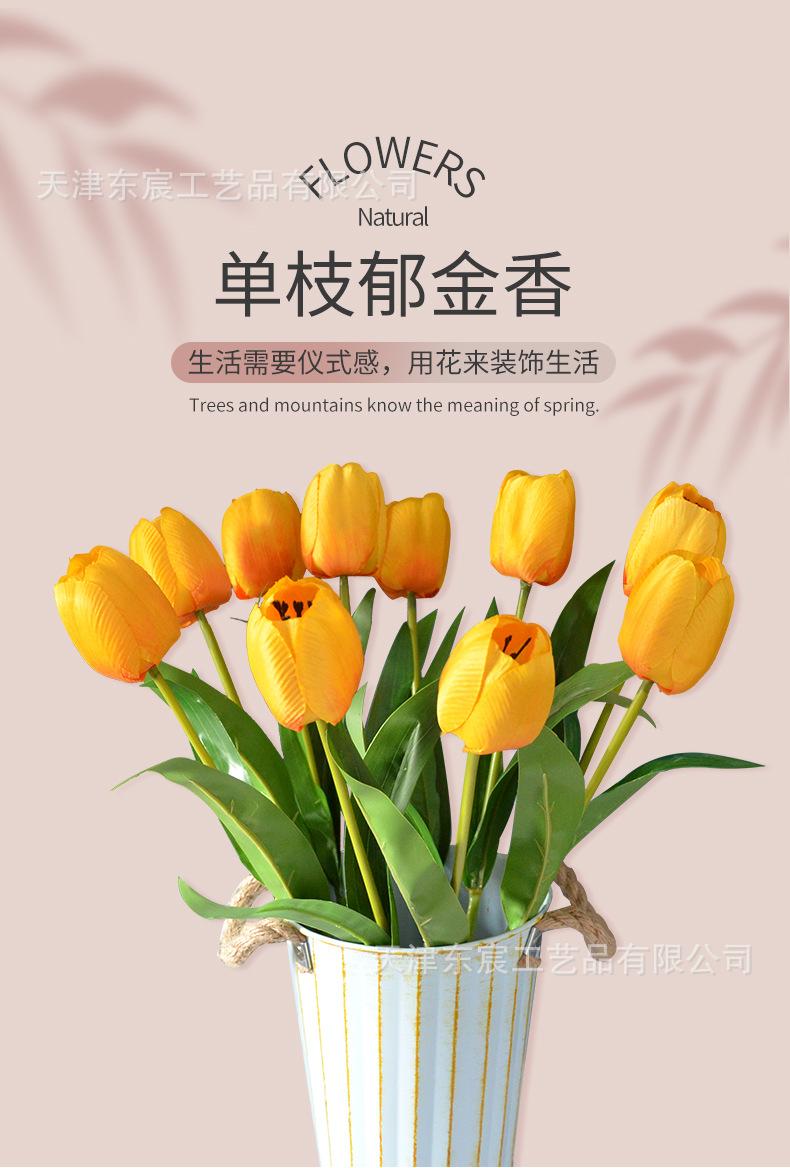 详情_01.jpg