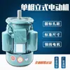 Motor Vertical Monofásico 220V 750W/1.1/1.5/2.2/3KW Fio de Cobre Doméstico Motor de Engrenagem com Flange Grande