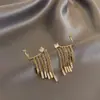 Brincos de Franja com Zircônia Femininos 2020 Novos Modernos Tarraxa de Orelha Clipe de Orelha de Alta Qualidade Personalizado Elegante Joia de Orelha de Celebridade da Internet