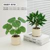 Nova Planta Verde Árvore da Fortuna Sala de Estar Entrada de TV Escritório Estação de Trabalho Mesa Pequeno Vaso Planta Flor Artificial