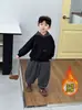 Conjunto de Moletom com Capuz e Pelúcia para Meninos Estilo Coreano Roupas Esportivas Bonitas para Crianças Conjunto de Duas Peças Roupas Estilosas para Bebês e Crianças Pequenas