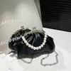 Bolso Cruzado de Hombro con Cadena de Textura de Alta Calidad, Plisado Nuevo Lindo de Nicho, con Cierre de Perla, Primavera 2026