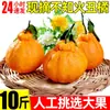 Naranja fea Fruta fea 5 kg Fruta fresca de temporada Mandarinas de piel fina Caja entera de naranjas