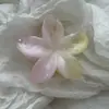 Pinza para el cabello de Plumeria de color gelatina con patrón de flujo degradado, Pinza de tiburón de flor de cinco pétalos estilo vacacional, Pasador fresco para la parte posterior de la cabeza de las mujeres