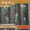 Eg-1913063 Tela de Algodón Bordada, Bordado Multicolor, Bordado de Algodón, Bordado Calado