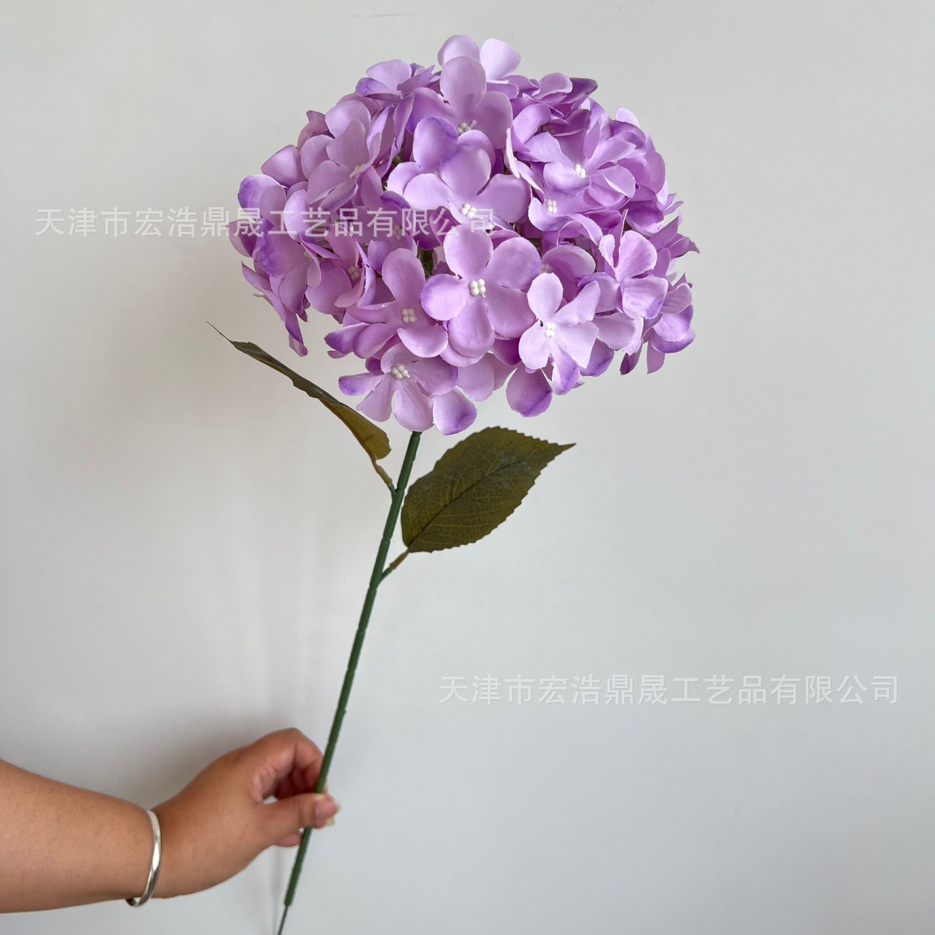 4206d9d12fb0d3a83b995ac61376e9