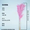 Buquê de Flores Secas com Juncos Pequenos Estilo Nórdico Decoração de Sala de Estar Buquê de Capim dos Pampas Suporte para Atacado Personalização