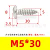 Tornillos Autorroscantes de Cabeza de Pan Phillips de Hierro Niquelado Gb845 Tornillos Autorroscantes de Cabeza Semi-Redonda Pa M1M2M3M4M5M6