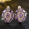Pendientes Ovalados de Circonita Super Brillantes Color Oro Rosa de Venta Caliente Transfronteriza, Pinzas Elegantes de Lujo Ligero de Gama Alta de Diseño de Nicho para Mujer