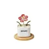 Adorno de artesanía en vidrio de Zibo, flor de nacimiento de diciembre, planta verde floral de vidrio artificial, decoración de escritorio, regalo creativo