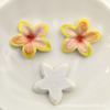 Flor de Huevo de Cinco Pétalos Brillante Graduado Resina Accesorios Estuche para Teléfono Móvil DIY Pasador Cuerda para el Cabello Parche Flor para Zapatos Material