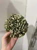 Hortensia de chocolate sedosa~ se puede enrollar alrededor de una scrunchie o un moño de coleta accesorio para el cabello
