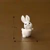 Micro paisagem pequenos enfeites animal fofo coelho de Ano Novo Micro paisagem coelho fofo jardinagem resina enfeites acessórios
