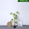 Plantas Verdes Simuladas Exquisitas, Lírios, Plantas Biônicas de Bambu, Formatos Flexíveis, Plantas Verdes, Paisagismo, Decoração de Sala de Estar Interna, Ultra-Densa