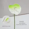 Flor de Simulación Verde Decoración Auditorio de Bodas Material de Flores para Bodas Flor Exterior Planta Verde Belleza Chen Arreglo Sanwei Kwai Mori Ceremonial de Bodas