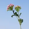 Jazmín de Noche de Tallo Largo con 2 Cabezas Hortensia Flor Artificial Flor Falsa Decoración del Hogar Adorno para Habitación de Invitados Decoración para Fotografía de Bodas