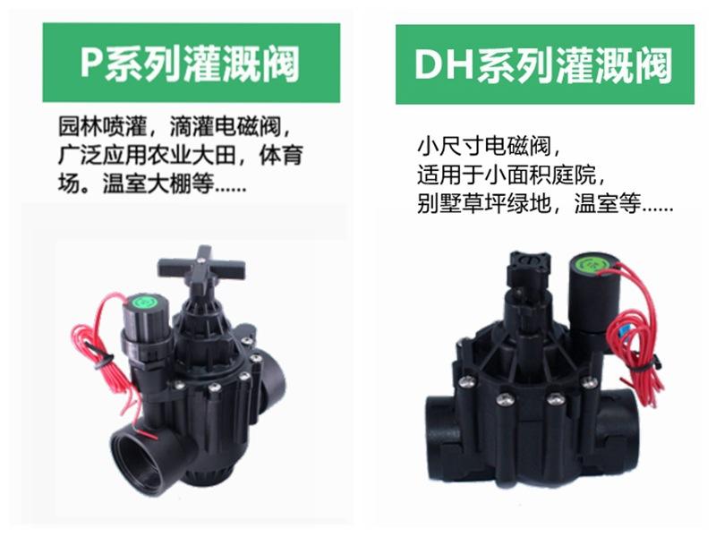 IMG_5716_副本_副本_副本_副本