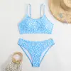 Maiô de Duas Peças Estilo Novo para Mulheres, Estilo Europeu e Americano, Alta Elasticidade, Roupa de Banho Durável, Quente na Internet, Amazon