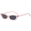 Óculos de Sol Jamie 2039 Armação Pequena Óculos de Sol Cat-Eye Europeus e Americanos para Mulheres Óculos de Sol Transfronteiriços de Comércio Exterior
