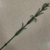 Galho de Flor Artificial Flor única cravo Haste Galho de flor lilás 48cm de comprimento