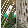 Precio de Fábrica Valla de Bambú Terminada Pared de Bambú Anticorrosión Valla de Bambú Carbonizado Barandilla de Caña de Té Fábrica Sanqiu de Guangzhou