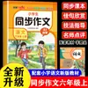 Alunos do Ensino Fundamental Composição Sincronizada Treinamento Especial de Língua Chinesa Modelo de Resposta Material de Pontuação Máxima Livro Amostra para Séries 1-8