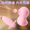 Huevo sexual vibrador, producto para adultos, masturbador femenino, consolador vibrador, bala vibradora, función de succión, control remoto por APP, no intrusivo