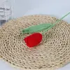 Flor de Tulipan Terminada Hecha a Mano con Lana Flor de Lana Tejida a Crochet Flor Artificial Flor Inmortal Tulipan Abierto y Cerrado Flor de Lana de Tulipan