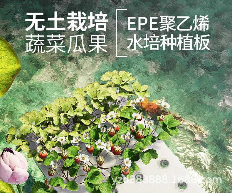 image_01.jpg?x-oss-process=image/format,png