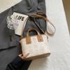 Bolsas de Nicho para Mulheres 2025 Nova Coleção Primavera e Verão Versátil Bolsa de Ombro Único Transversal A Popular deste Ano Bolsa Saco Bucket