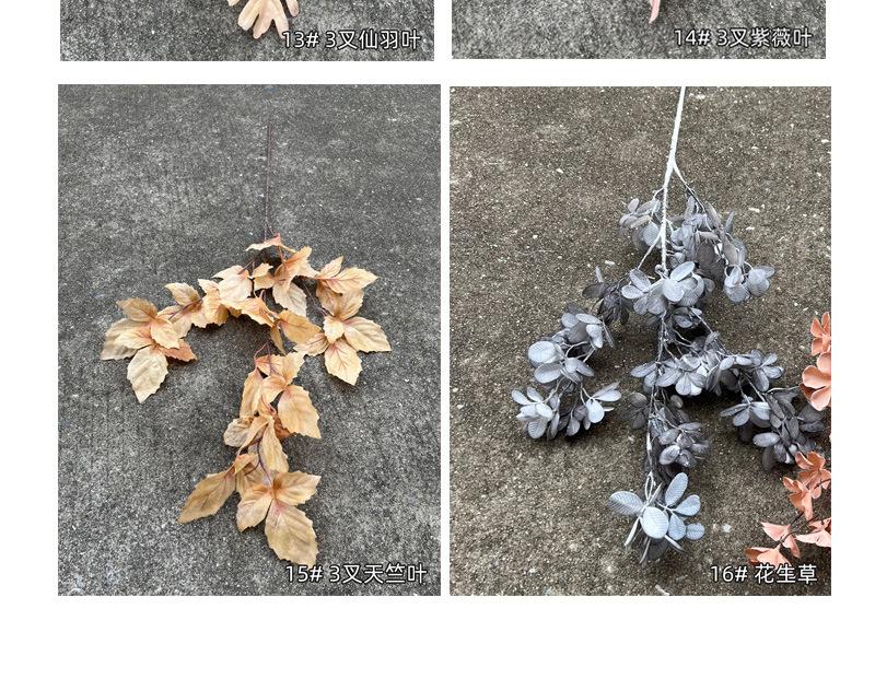 中号飞燕草-详情_09.jpg