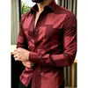 Camisa de rayas con un toque de alta gama, camisa para hombre en estilo de negocios británico y francés, ropa de manga larga para hombre