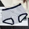 Calzoncillos tipo boxer de algodón puro para mujer estilo Oso Pequeño Clase A 10A Antibacterianos Entrepierna Extendida Completamente de Algodón Dos en Uno Calzoncillos tipo boxer para Adolescentes para Niñas