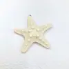 Estilo Doce Estrela-do-mar Verão Colorido Dopamina Fresco Chaveiro Ins Fofo Versátil Mochila Pingente Acessório