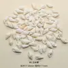 100g Concha Natural de Furo Único Misturada com Borda Dourada Perfurada Caracol DIY Artesanal Decorativo Aquário Acessórios de Concha Branca