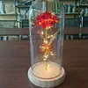 Luzes Noturnas Brilhantes de Rosa e Tulipa Mais Vendidas, Presentes Perfeitos para Amigos e Deusas, Disponíveis para Envio Internacional, Podem Ser Embaladas e Rotuladas para Entrega