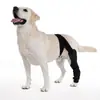 Amazon Nueva Manga Protectora para Pierna de Perro Postoperatoria Recuperación de Heridas Anti-mordidas Anti-lamidas Transpirable Equipo Protector para Mascotas Venta al por Mayor