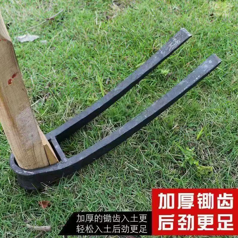 微信图片_20240519150516