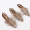 Venta al por mayor del fabricante Plumas Pequeñas de Faisán DIY Tocado de Plumas de Faisán Broche Sombrero Zapatos Artesanías Materiales de Decoración